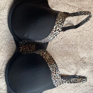 Leopard Print Women's Bra 36DD